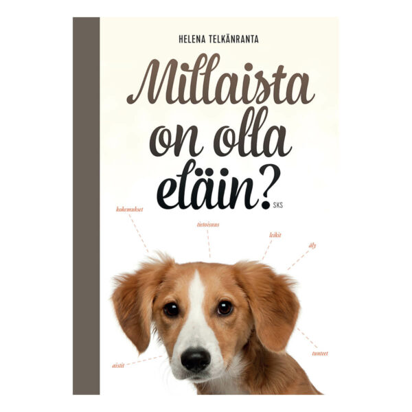 Helena Telkänrannan kirja Millaista on olla eläin?