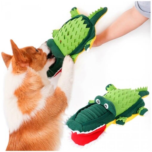 Koiran aktivointilelu krokotiili ja sitä tutkiva koira.