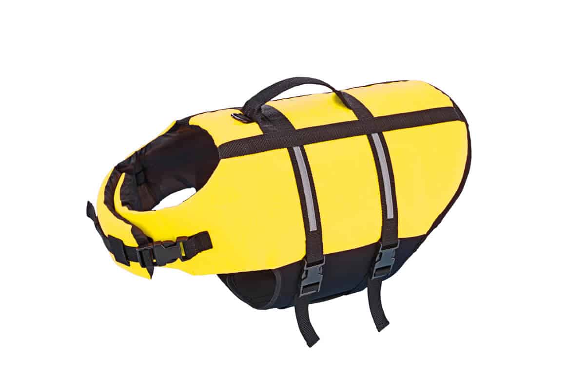 Nobby koiran pelastusliivit vesillä liikkumiseen, väri keltainen.