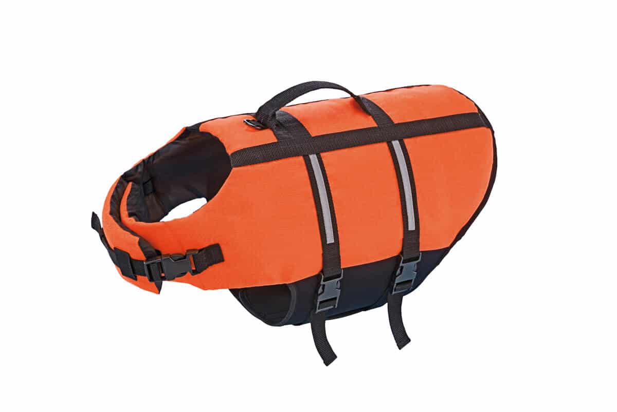 Nobby koiran pelastusliivit vesillä liikkumiseen, väri oranssi.