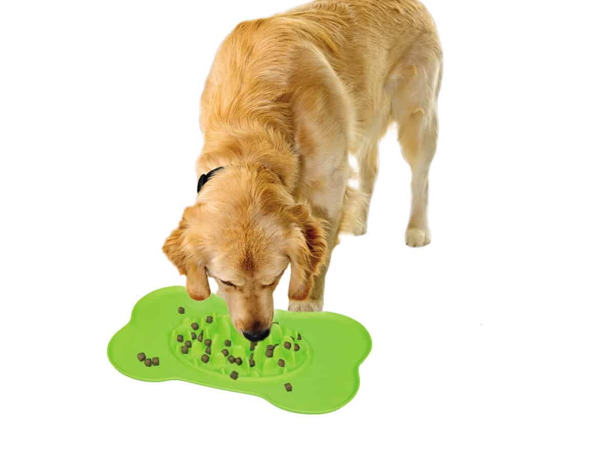 Nobby Slow Feeder aktivointimatolta kuivanappuloita syövä koira.