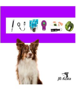 JR-Koiran koulutus Ohjeet ehdollistamiseen. Koulutuksessa voidaan käyttää pilliä tai naksutinta.