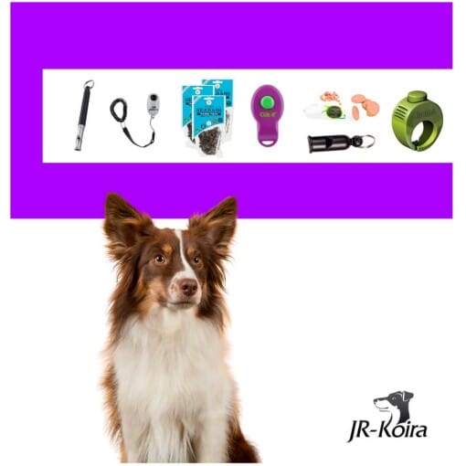 JR-Koiran koulutus Ohjeet ehdollistamiseen. Koulutuksessa voidaan käyttää pilliä tai naksutinta.