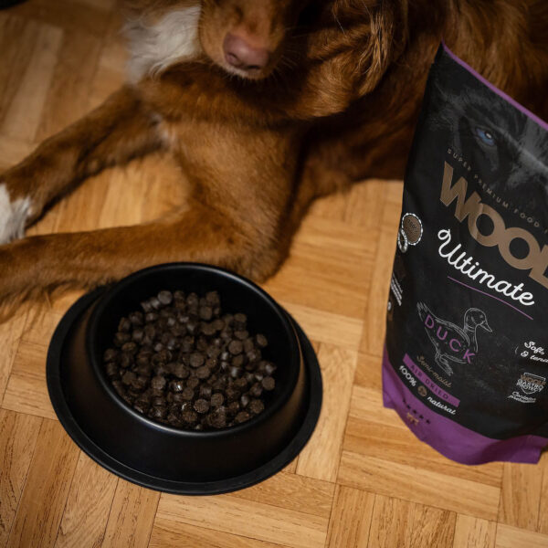 Woolf Ultimate Ankka-nappulaa ruokakupissa, taustalla koira ja tuotepussi.